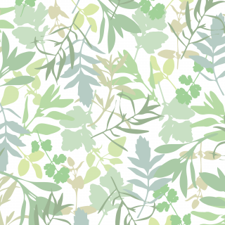 foliage : wintergreen