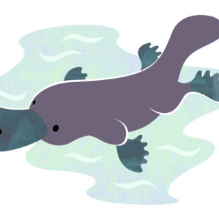 native friends : platypus